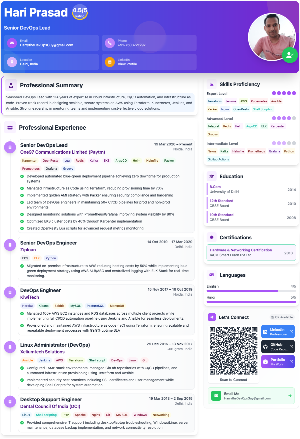 infographic-visual-resume-alt Preview