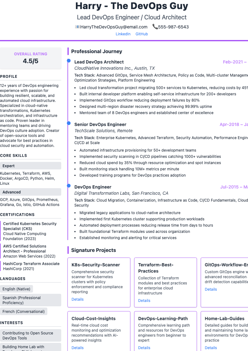 Infographic-Style Resume Preview