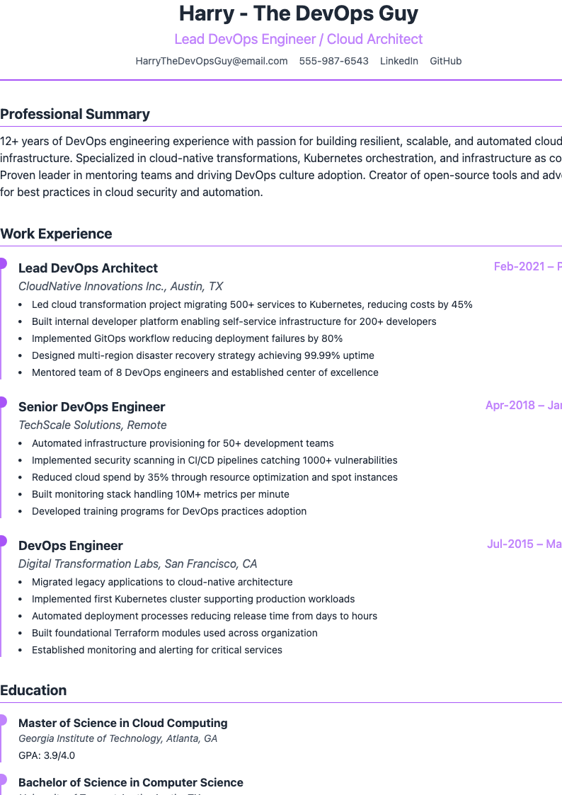 Chronological Resume Preview