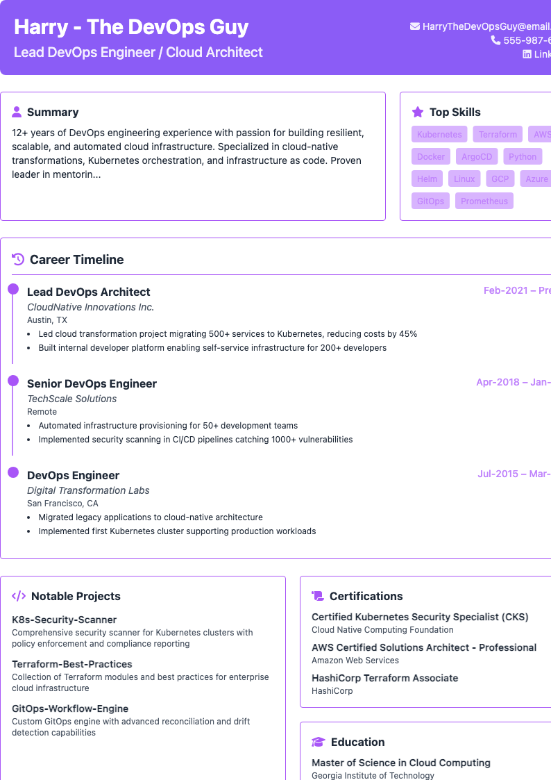 Compact Visual Punch Resume Preview