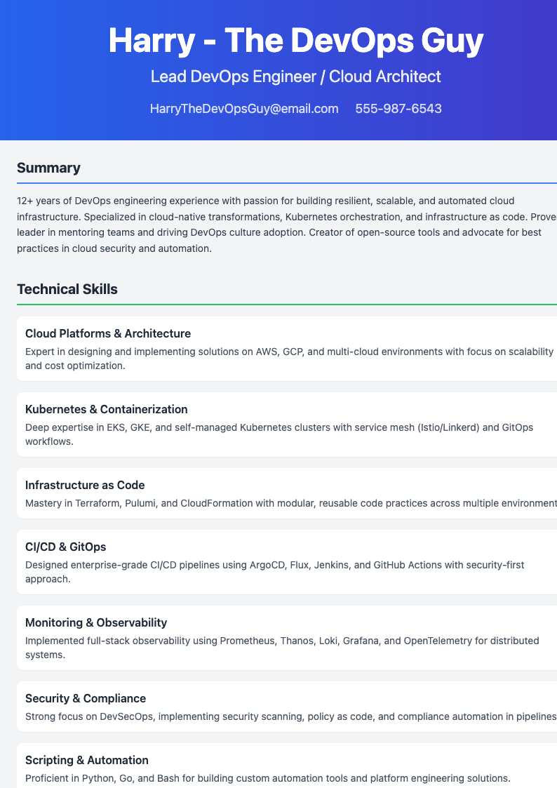 two-column-resume Preview